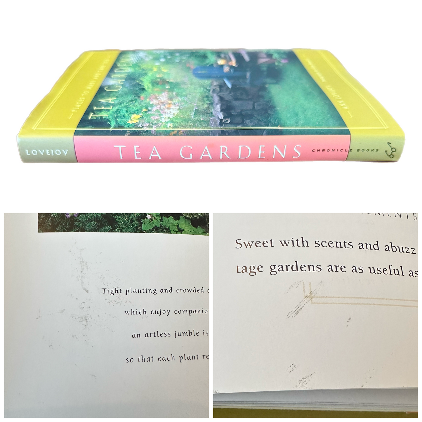 TEA GARDENS: PLACES TO MAKE AND TAKE TEA (1998) by Ann Lovejoy